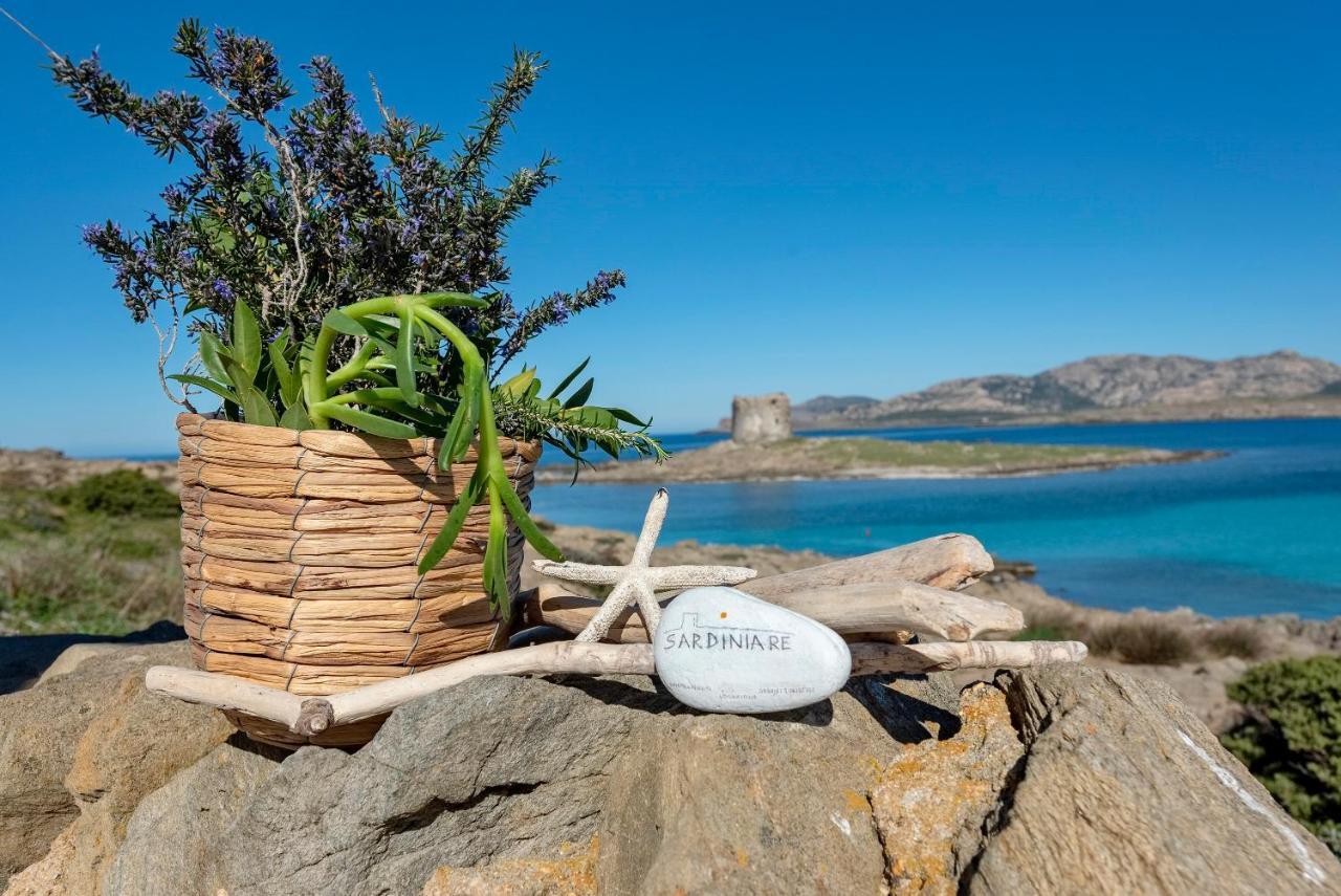 Sardinia Re - Villa Pelosa Stintino Dış mekan fotoğraf