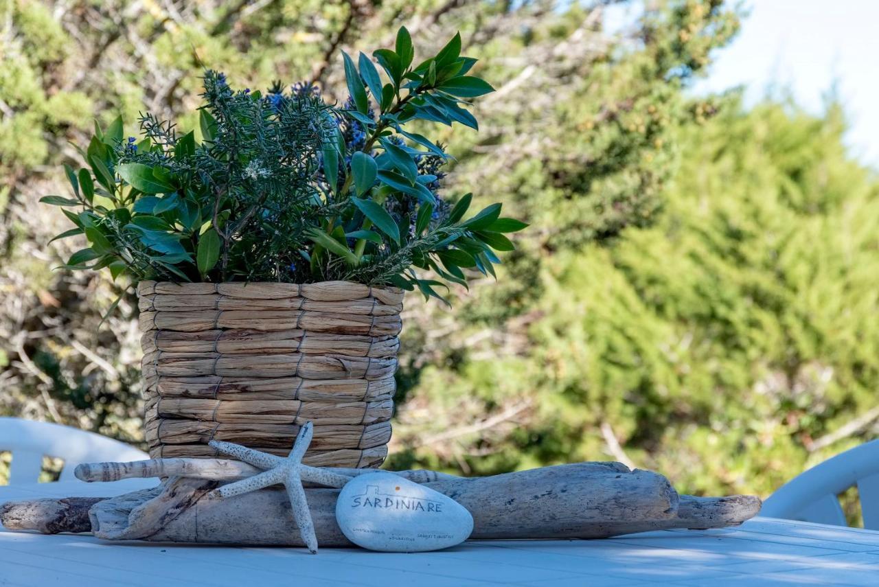Sardinia Re - Villa Pelosa Stintino Dış mekan fotoğraf