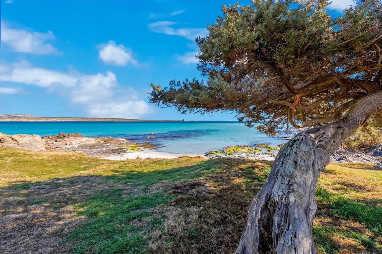 Sardinia Re - Villa Pelosa Stintino Dış mekan fotoğraf